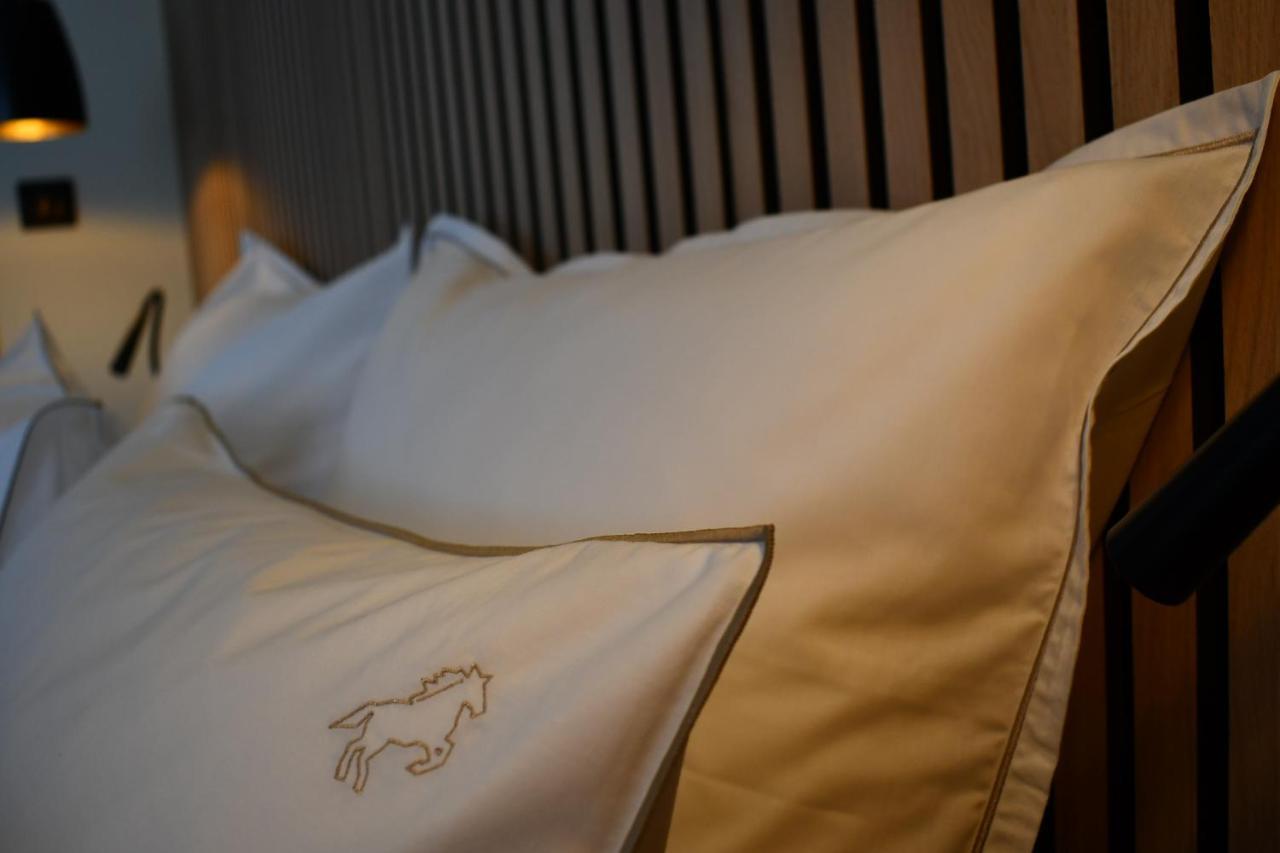 Le Cheval Blanc - Du Der - Logis Hotel 3*